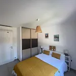 Villa Route De Palombaggia Vecchio Piscine Privée Chauffée à 5 Min Des Plages De Palombaggia Santa Giulia