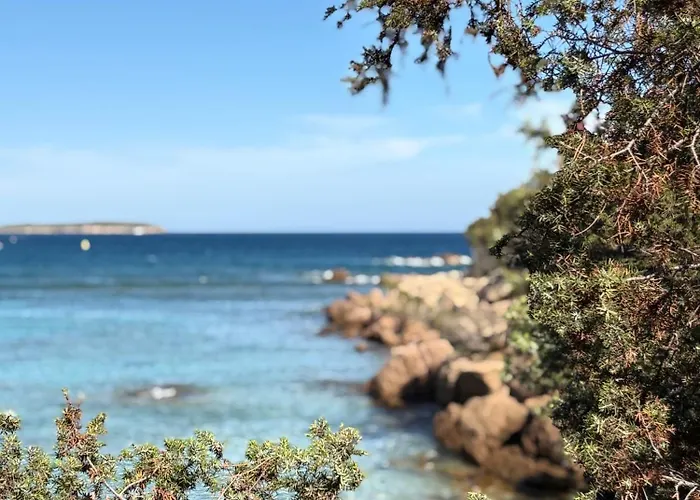 Villa Elegante Piscine Privee Palombaggia Porto-vecchio